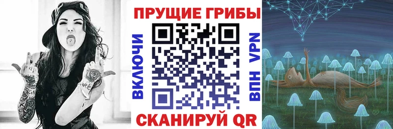 Псилоцибиновые грибы ЛСД Шлиссельбург