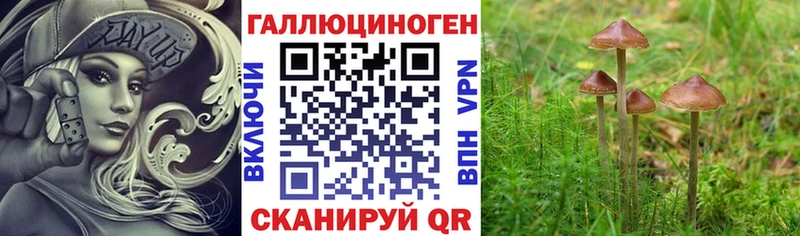 Галлюциногенные грибы мухоморы  МЕГА как войти  Шлиссельбург  продажа наркотиков 